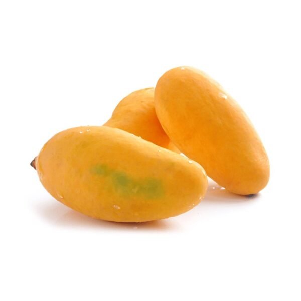 SINDHRI – (MH Panhwar) Mango Farm (7KG Box) (FREE DELIVERY)