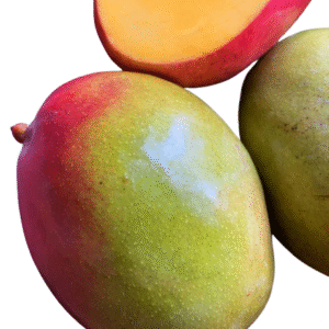 (PRE-BOOKING) Now Open, KEITT Mango Arriving Late June!